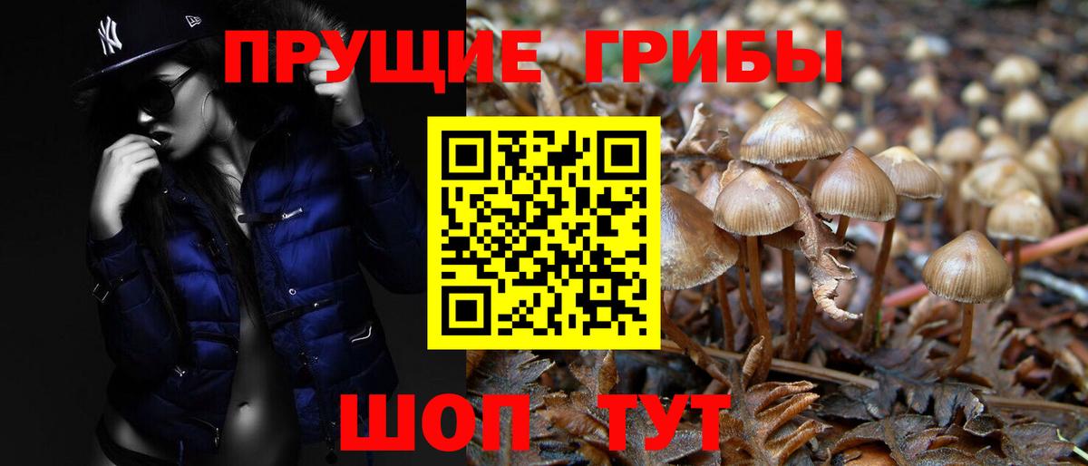 Новоуральск  Галлюциногенные грибы прущие грибы  Вход с VPN 