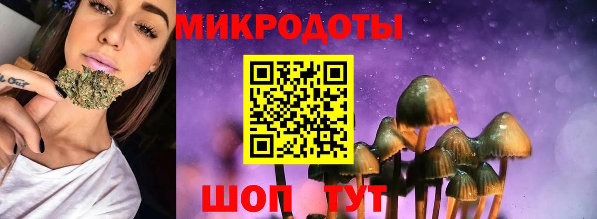 Псилоцибиновые грибы Psilocybe Новоуральск